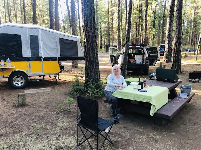 Allingham Campground Picture 2