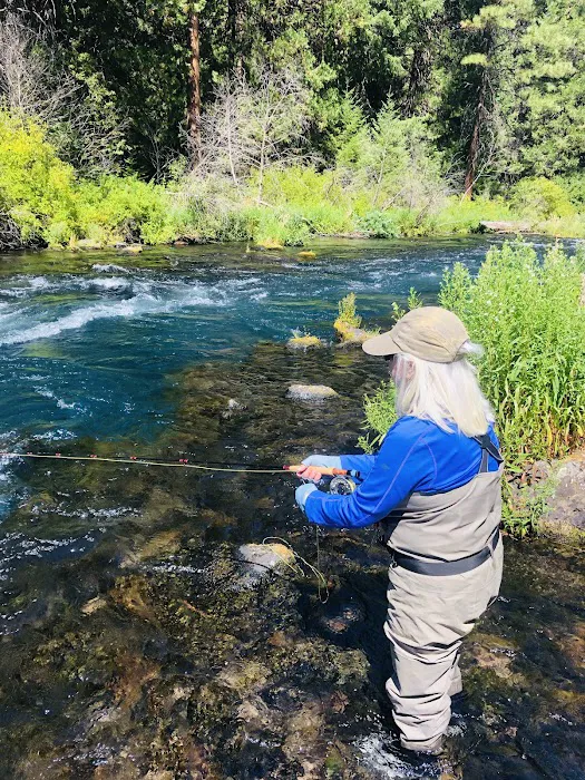 Allingham Campground Picture 5