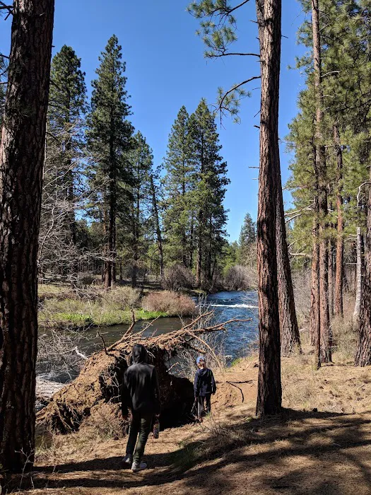 Allingham Campground Picture 7