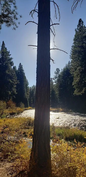 Allingham Campground Picture 1