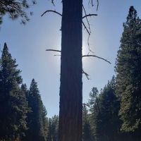 Allingham Campground ico