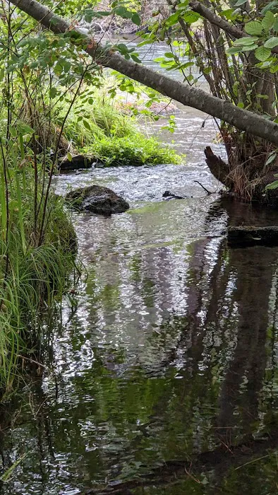 Allingham Campground Picture 8