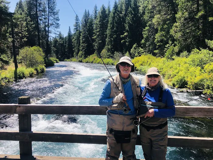 Allingham Campground Picture 9