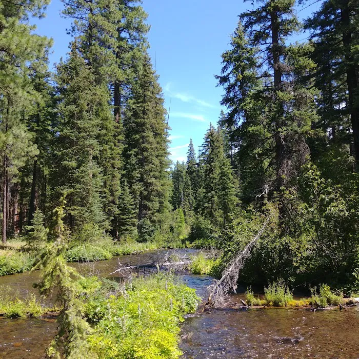 Jack Creek Campground Picture 9