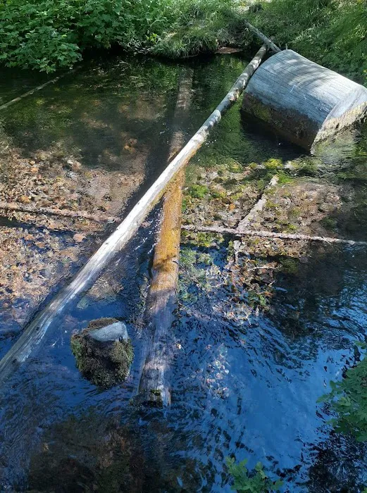 Jack Creek Campground Picture 6