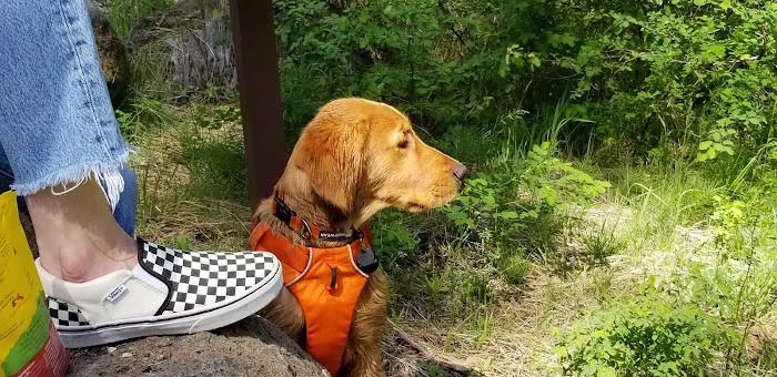 Jack Creek Campground Picture 5