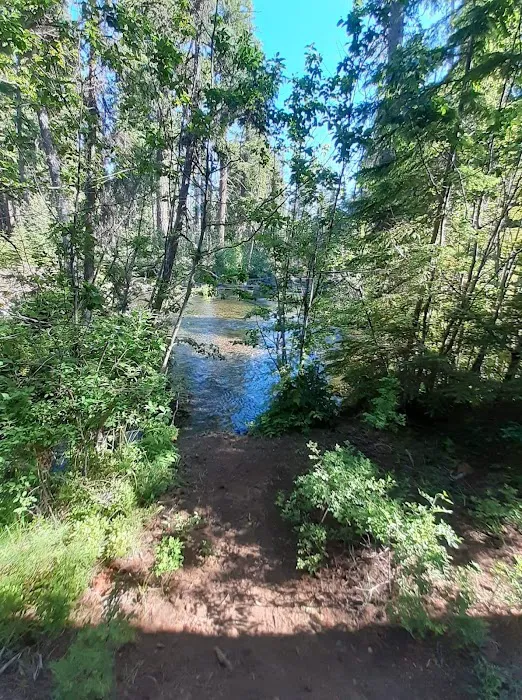 Jack Creek Campground Picture 4