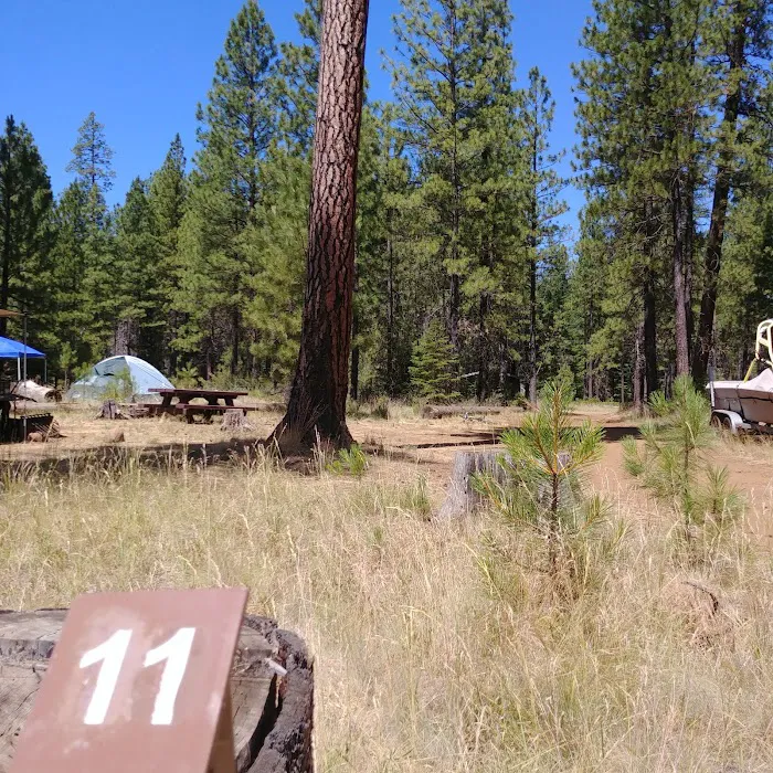 Jack Creek Campground Picture 8