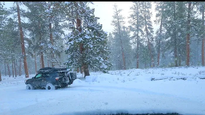 Jack Creek Campground Picture 1