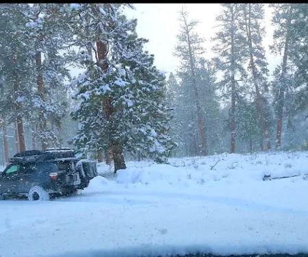 Jack Creek Campground