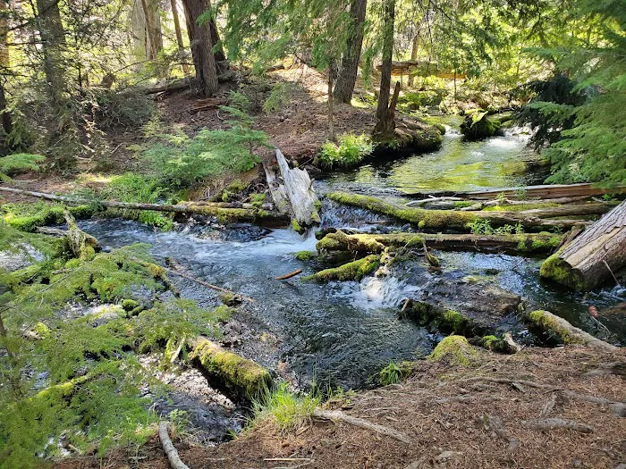 Jack Creek Campground Picture 7