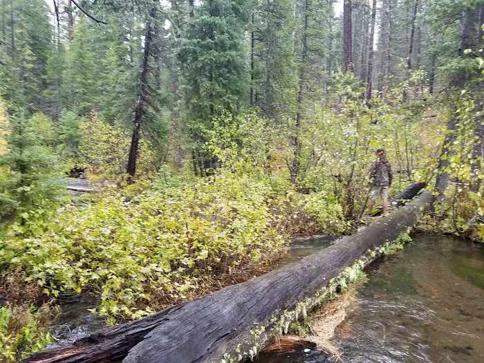 Jack Creek Campground Picture 10