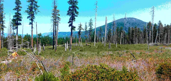 Deschutes NF-Sisters-Metolius Area Picture 2