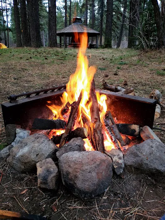 Camp Sherman Campground Picture 1