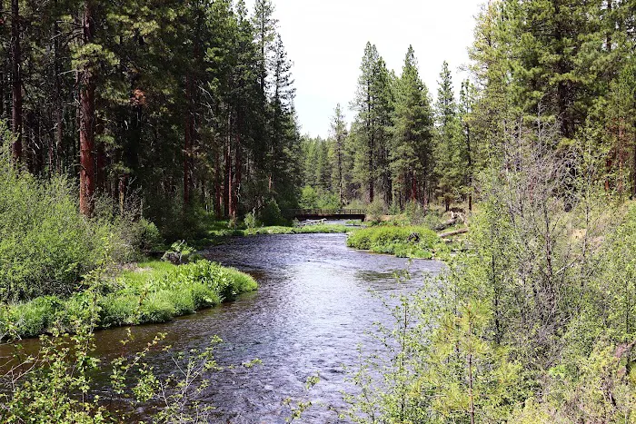 Camp Sherman Campground Picture 3