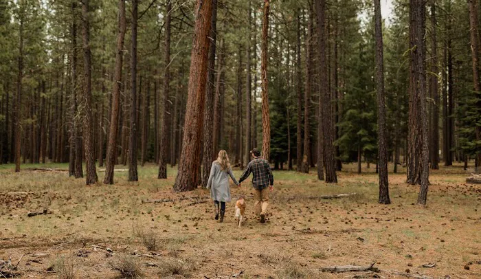 Lake Creek Lodge Picture 2