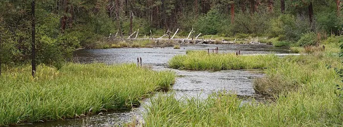 Riverside Campground Picture 1