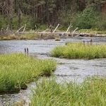 Riverside Campground