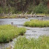 Riverside Campground ico