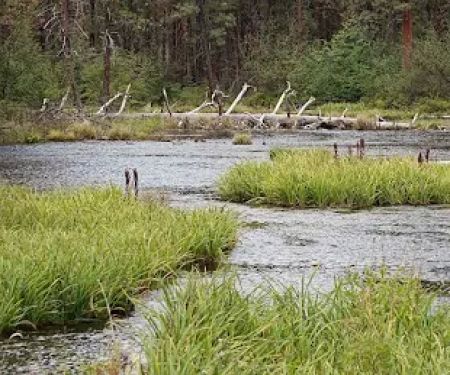 Riverside Campground