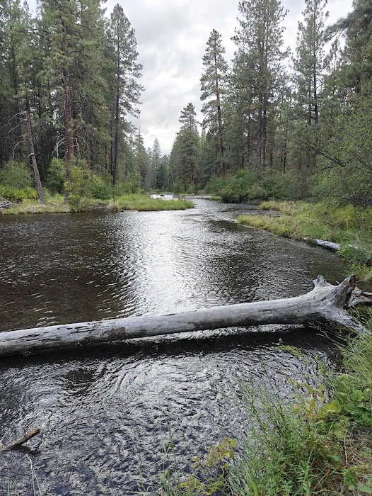 Riverside Campground Picture 3