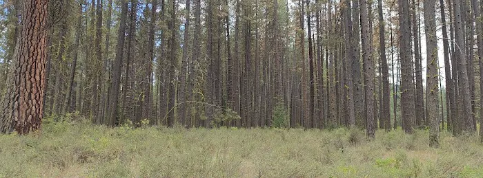 Riverside Campground Picture 2