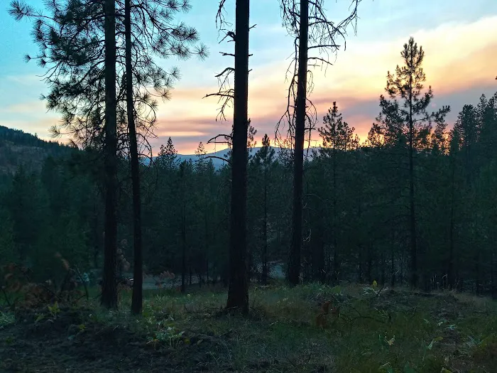 Little Pend Oreille Resort and Campground Picture 2