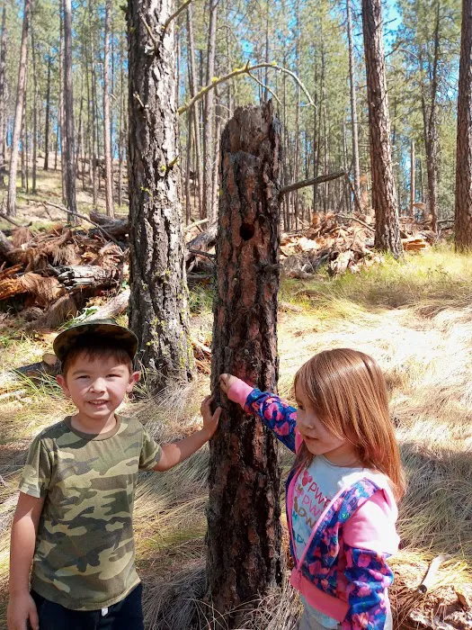 Little Pend Oreille Resort and Campground Picture 9