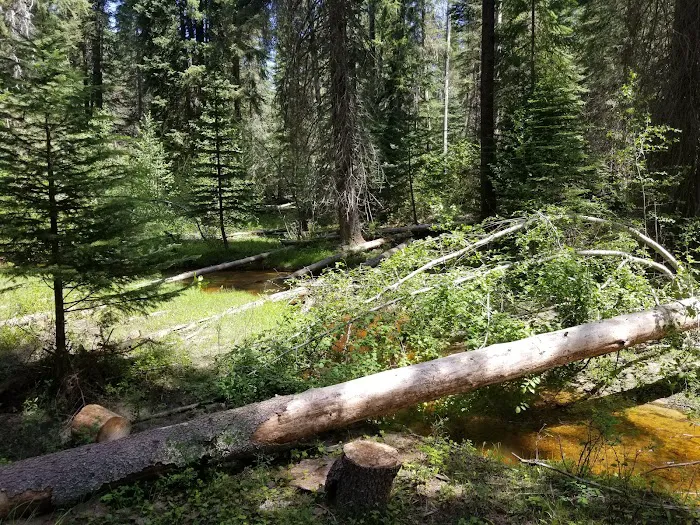 Flodelle Campground Picture 8