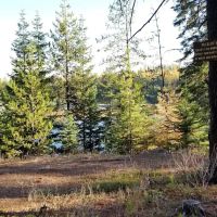 Little Twin Lakes Campground ico