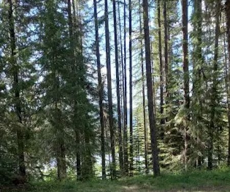 Lake Gillette Campground