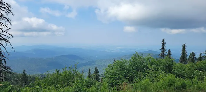 Bald Knob Campground Picture 1