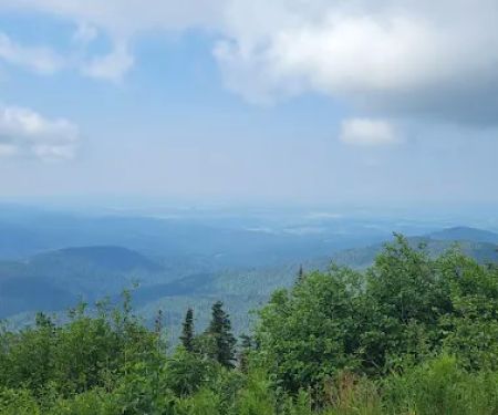 Bald Knob Campground