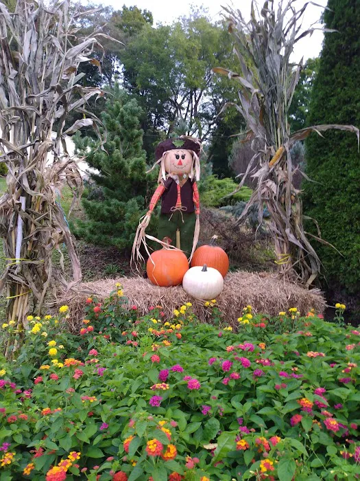 Wheat Hill Mobile Home Community Picture 5