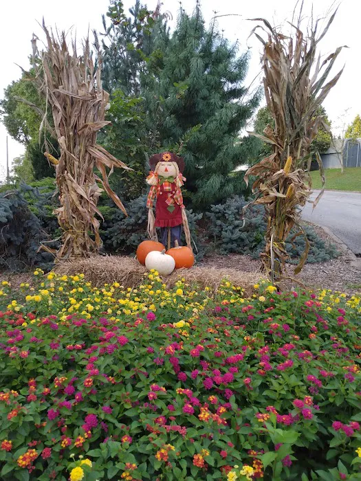 Wheat Hill Mobile Home Community Picture 4