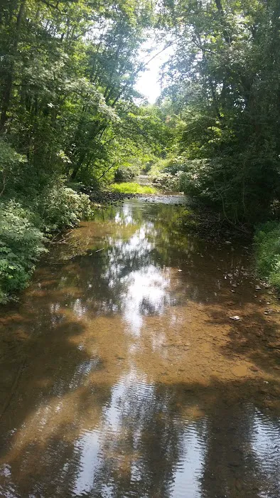 Pleasant Valley Mobile Home Picture 1