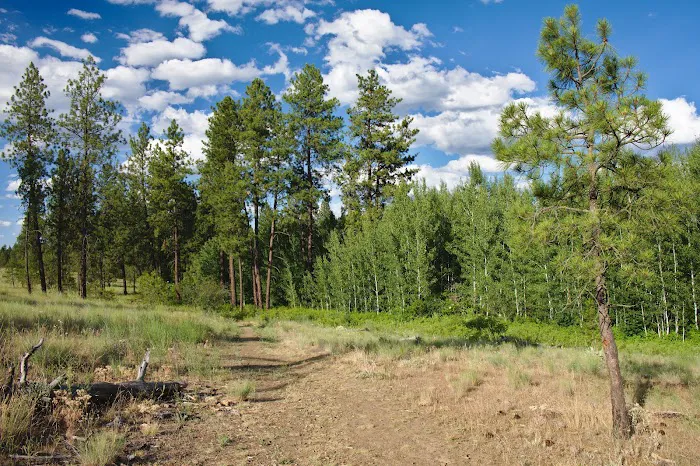 Fishtrap Recreation Area Picture 4