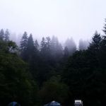 Blackberry Campground