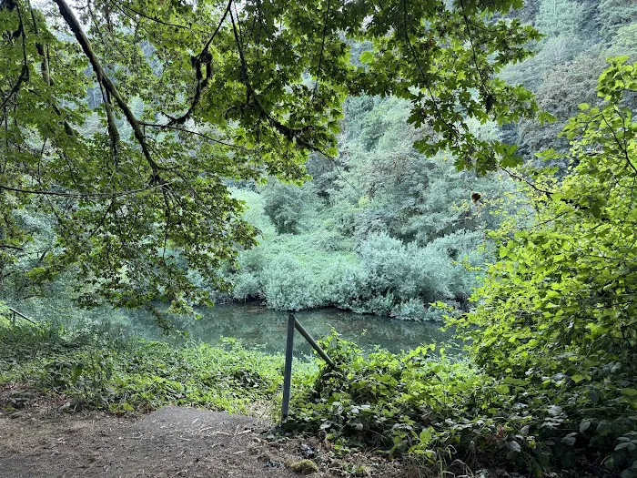 Blackberry Campground Picture 3