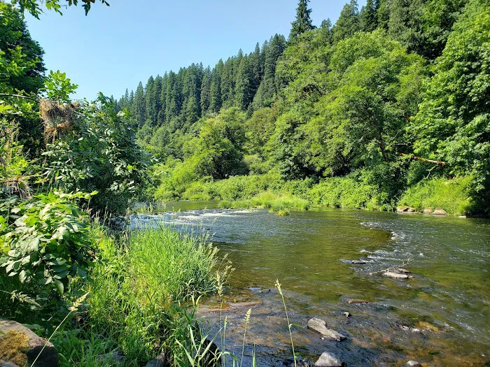 Blackberry Campground Picture 2