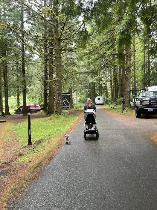 Blackberry Campground Picture 6