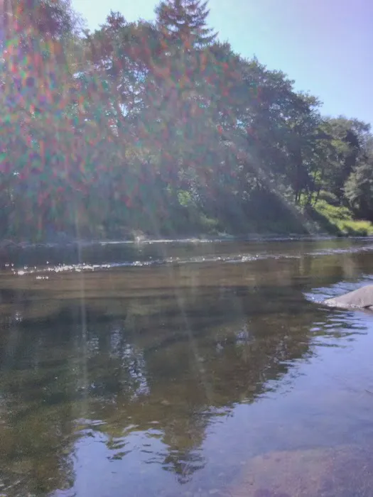 Mike Bauer Wayside Picture 4