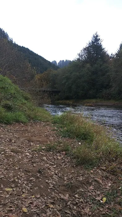 Mike Bauer Wayside Picture 1