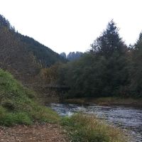 Mike Bauer Wayside ico