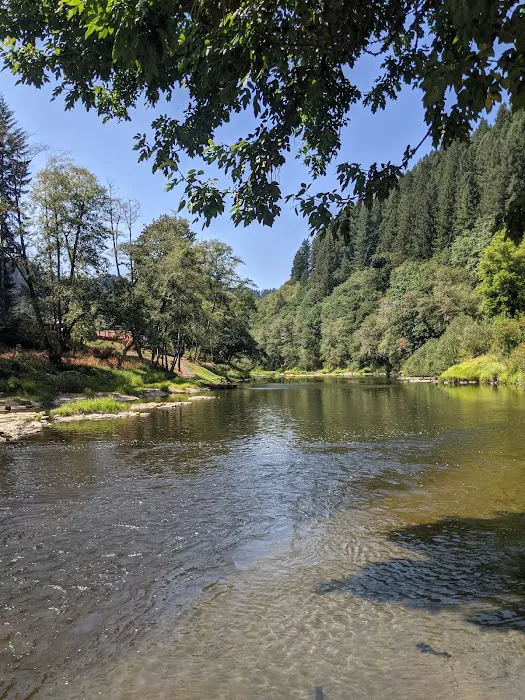 Mike Bauer Wayside Picture 3