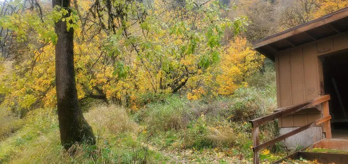 Mike Bauer Wayside Picture 6