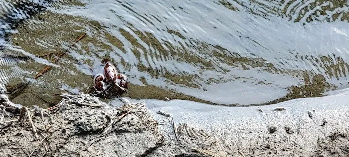 Mike Bauer Wayside Picture 8