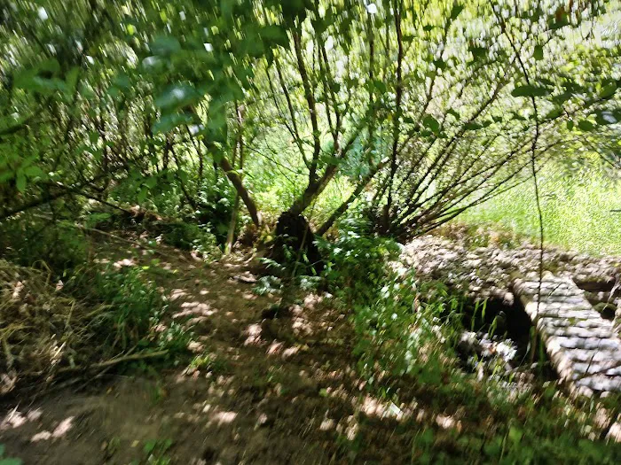 Tadpole Manor in Deadwood Camp Picture 3