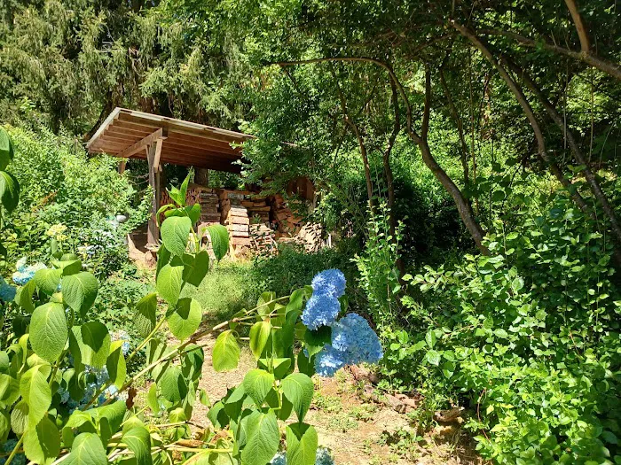 Tadpole Manor in Deadwood Camp Picture 2