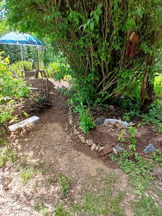 Tadpole Manor in Deadwood Camp Picture 4